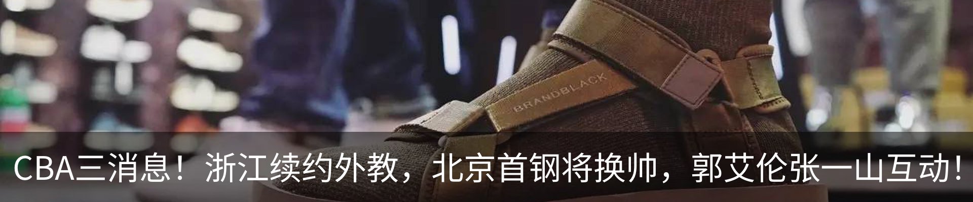 最新动态